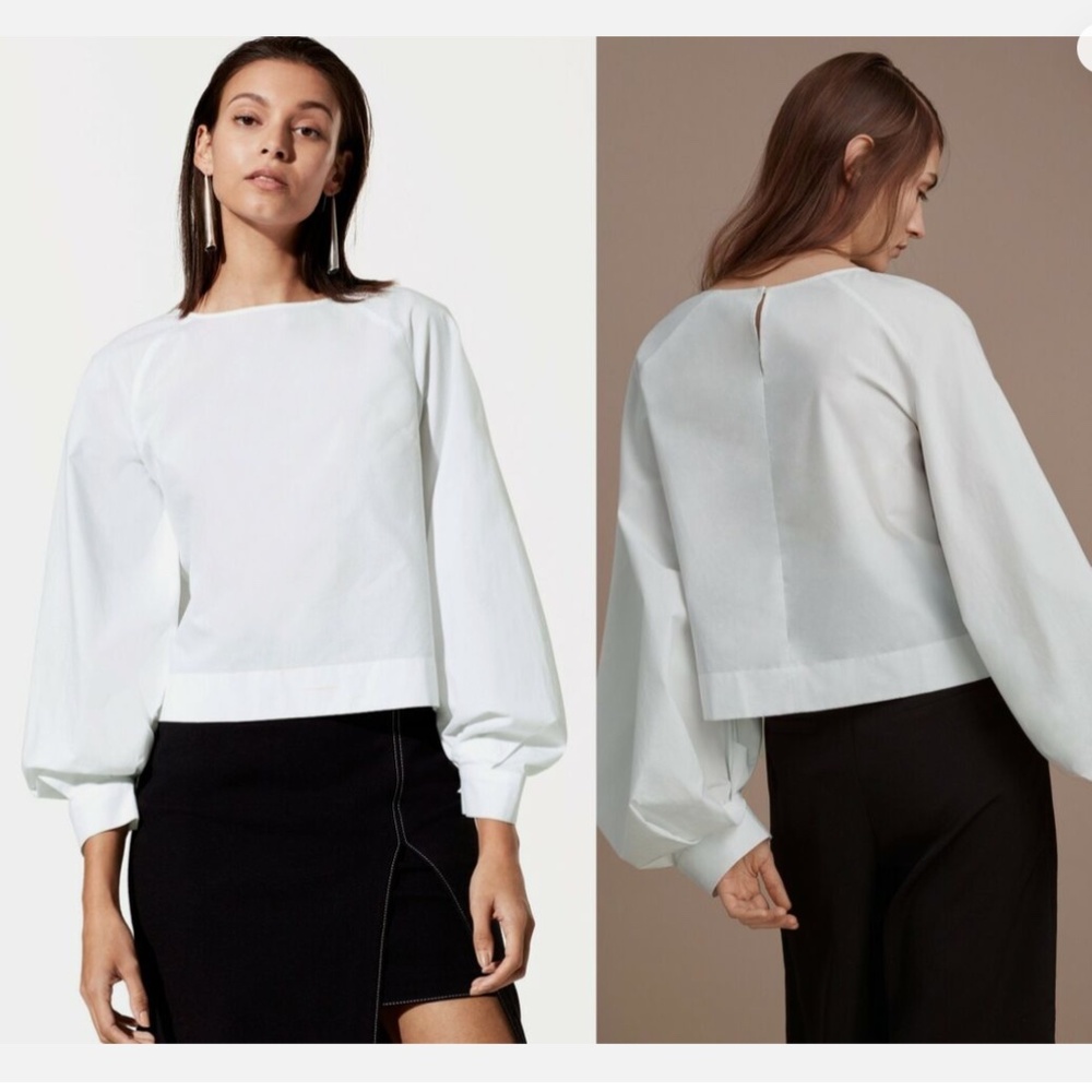 Aritzia Babaton Poplin Blouse